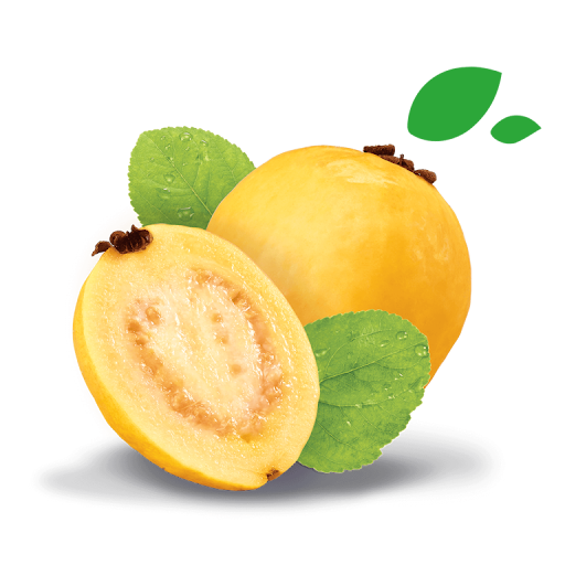 Guava (ea)