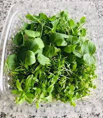Microgreens (case)